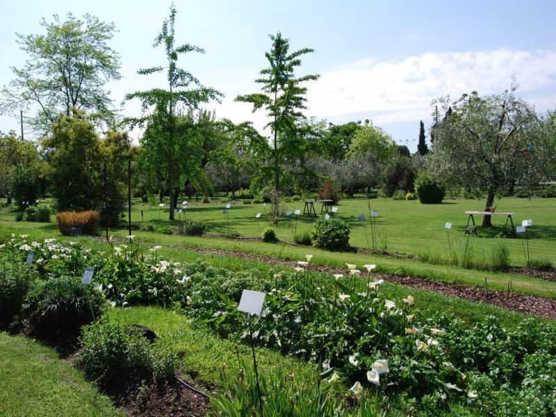 Lombardia: Orto Botanico Toscolano Maderno noto anche come Giardino botanico sperimentale "Emilio Ghirardi" ha una superficie di 10.000 mq e accoglie principalmente piante medicinali. Fu fondato infatti dal proprietario della azienda farmaceutica Simes la cardioterapica, il professor Giordano Emilio Ghirardi