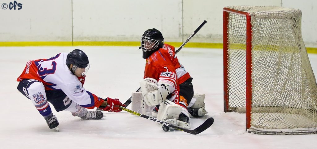 valpellice bulldogs agorà