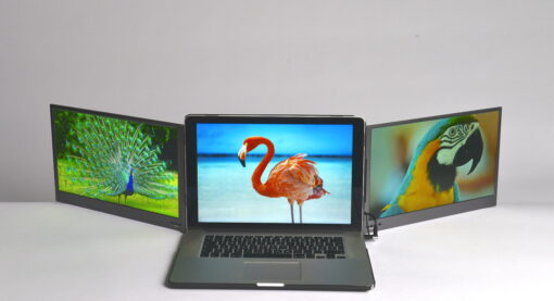 Laptop med to eksterne skjermer som viser bilder av en flamingo, en påfugl og en papegøye.