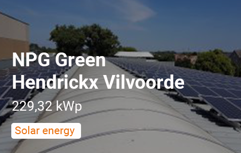 NPG Green - Hendrickx Vilvoorde