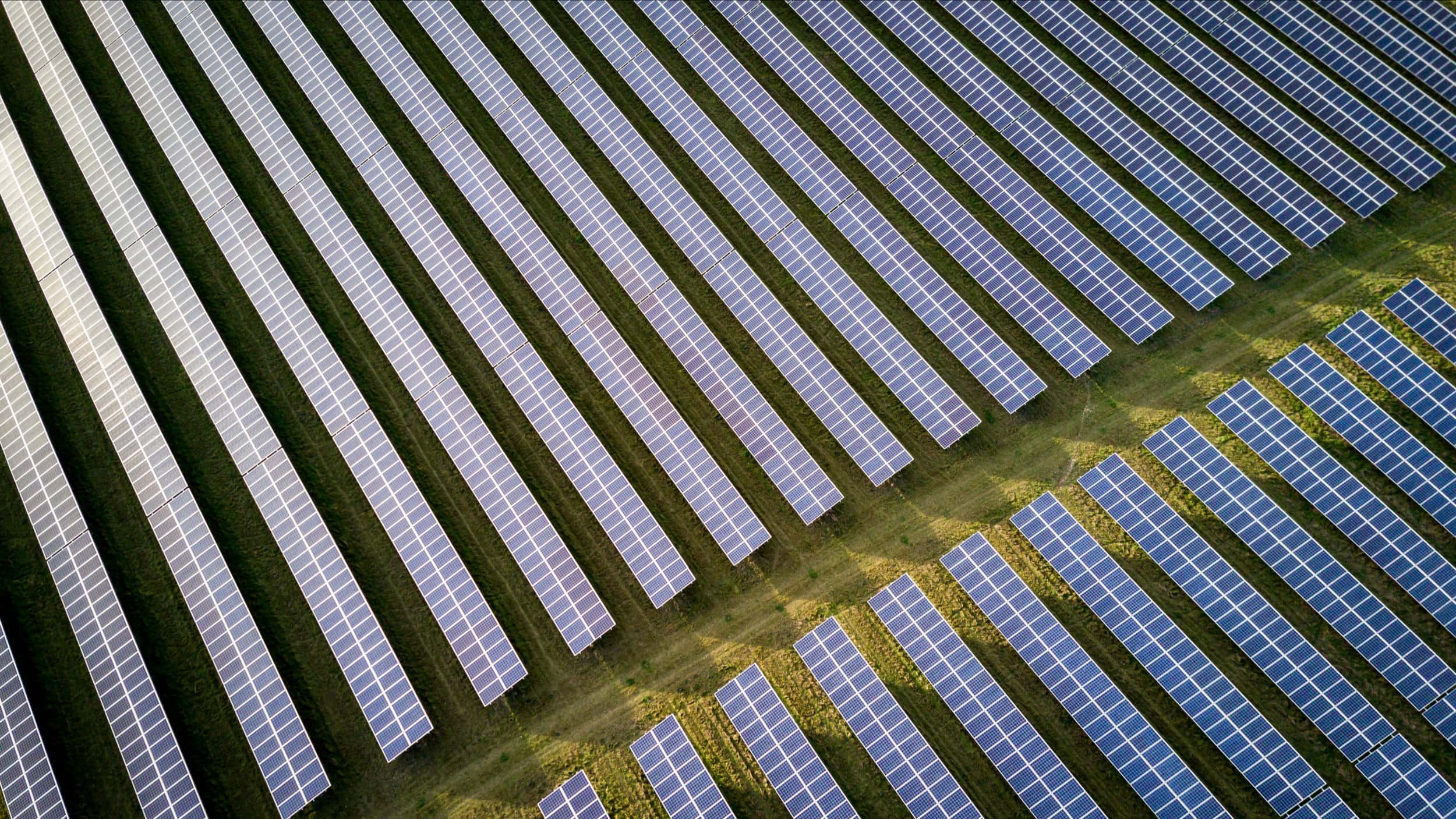 Solar panels in a field.
