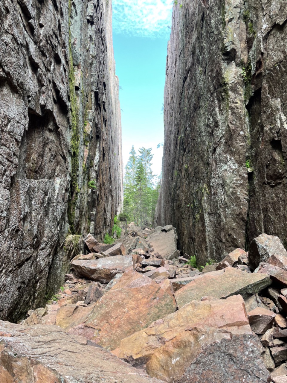 Skuleskogen