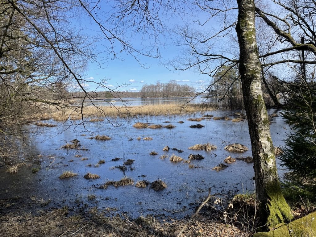 Åsnen