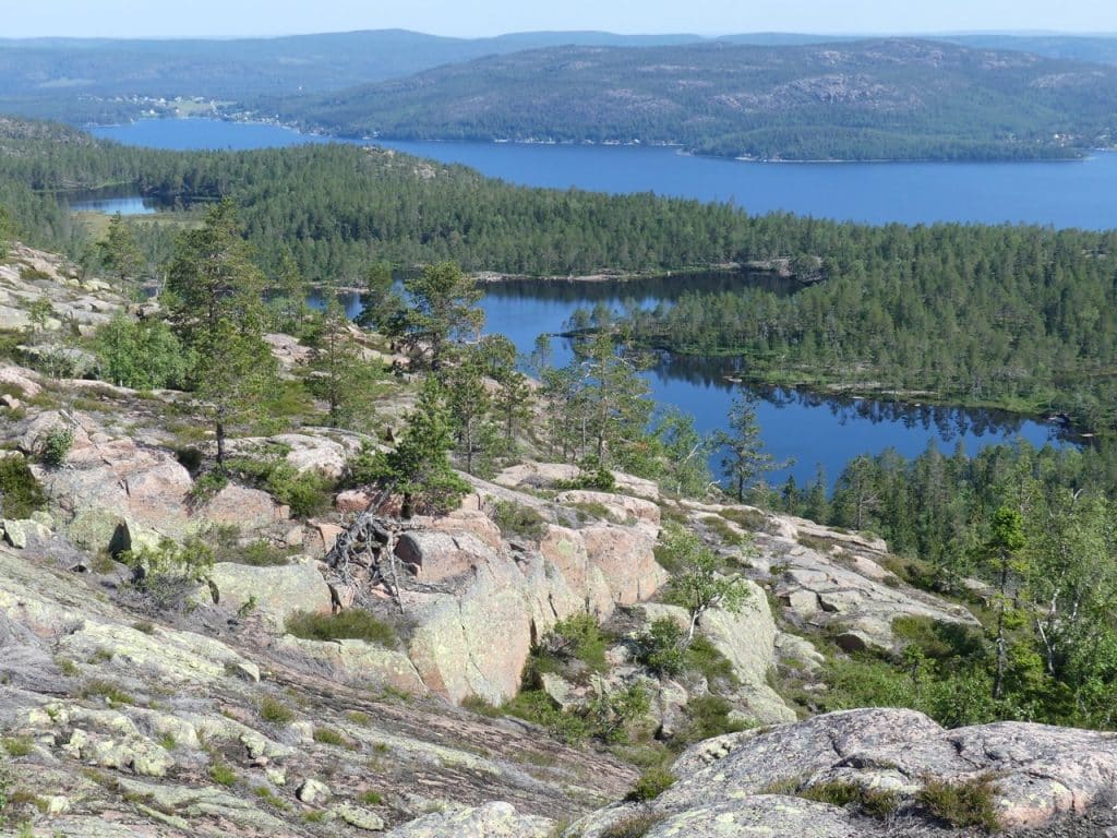 Nationalpark Skuleskogen