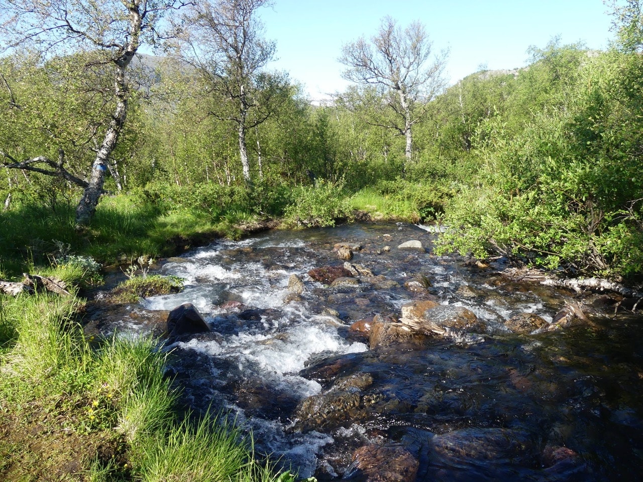 Stora Sjöfallet