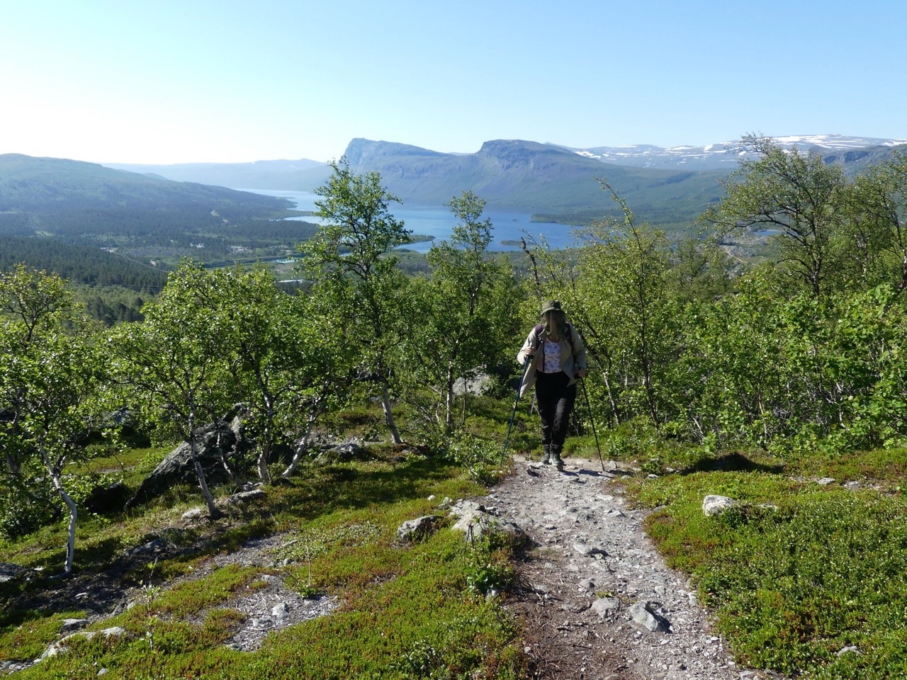 Stora Sjöfallet