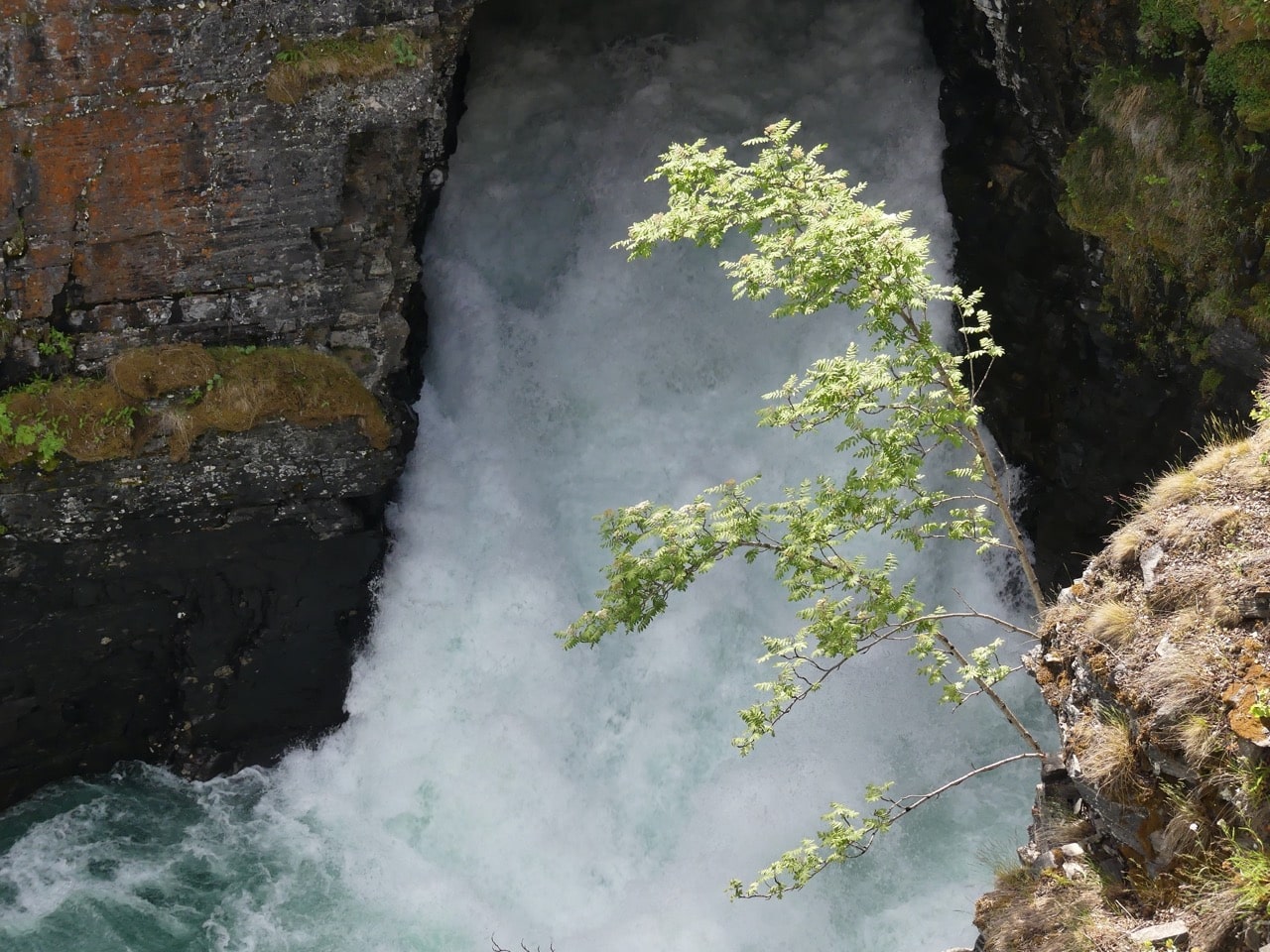 Abisko