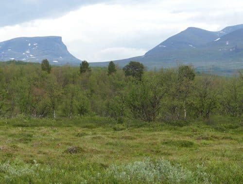 Nationalparker Sverige Abisko