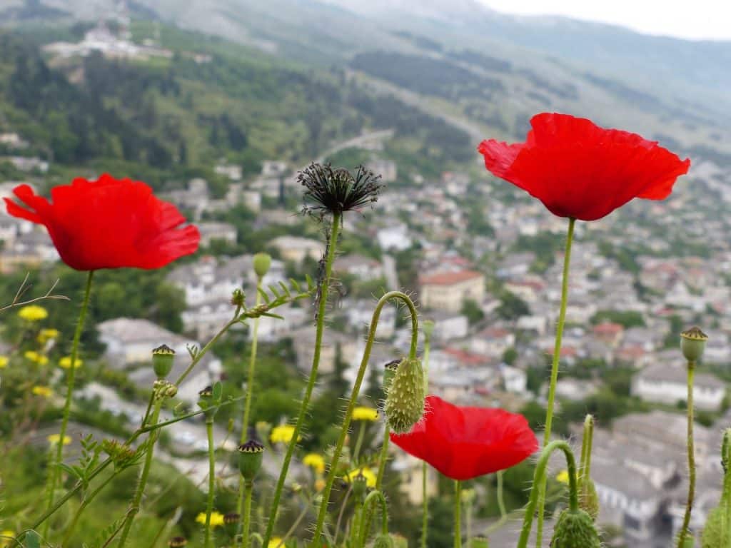 Gjirokaster