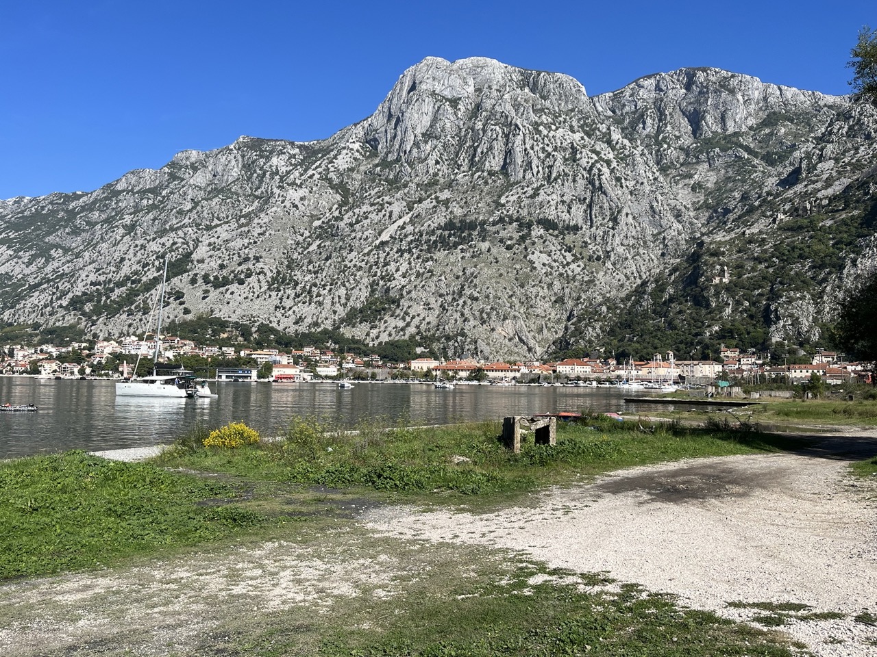 Kotor