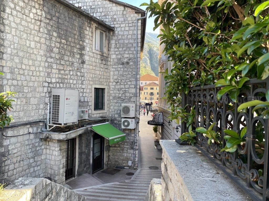 Kotor