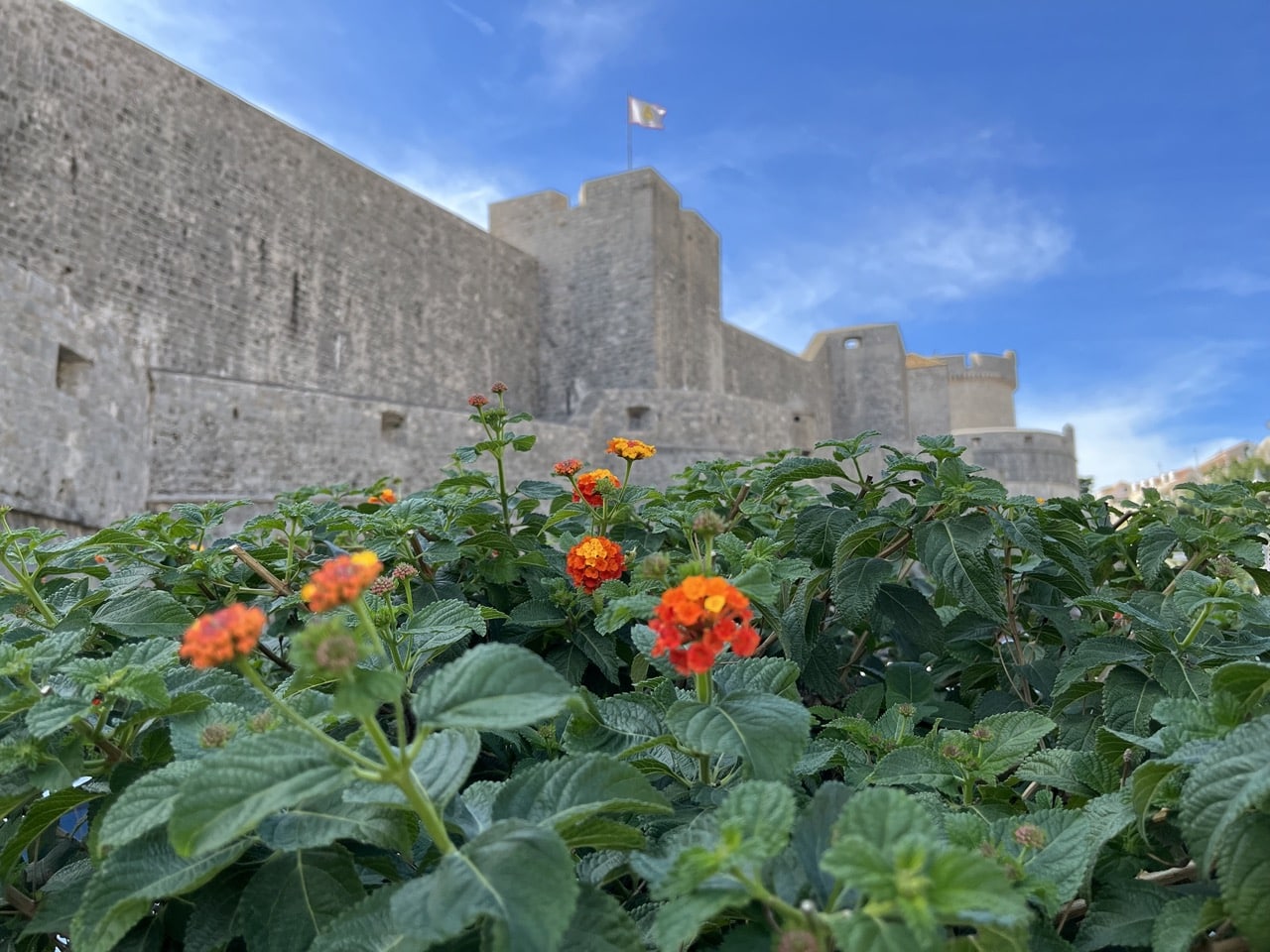 Dubrovnik Kroatien