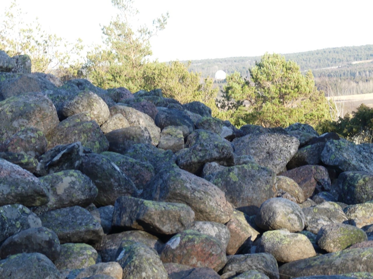 Hällristningarna i Tanum Världsarv