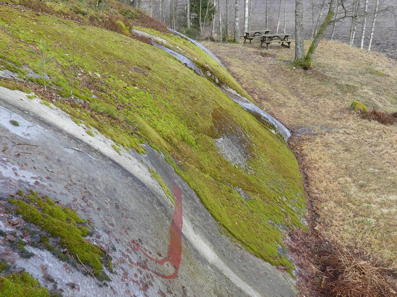 Tanum Världsarv