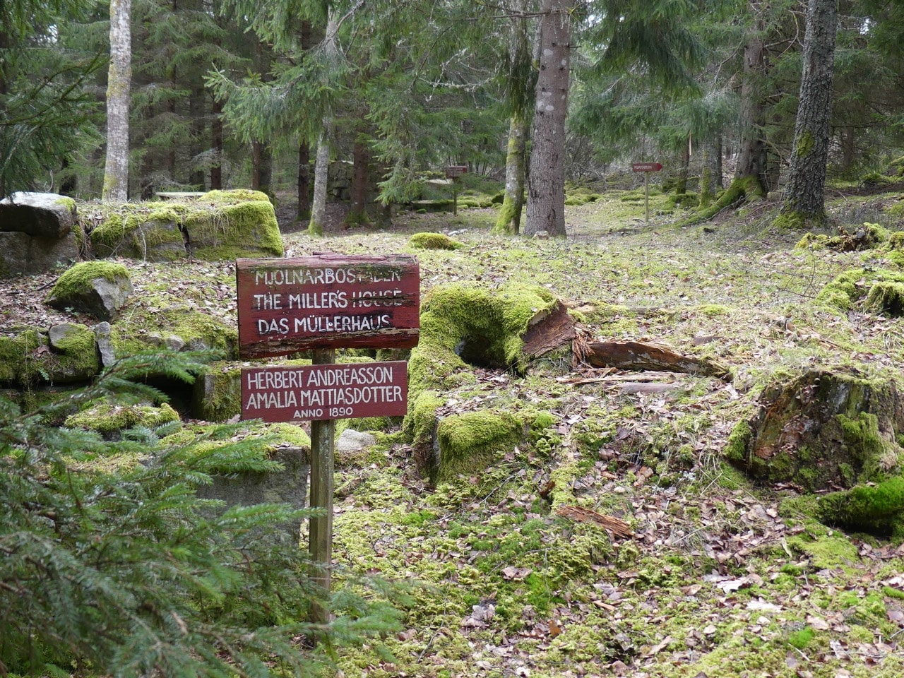 Hällristningarna i Tanum Världsarv