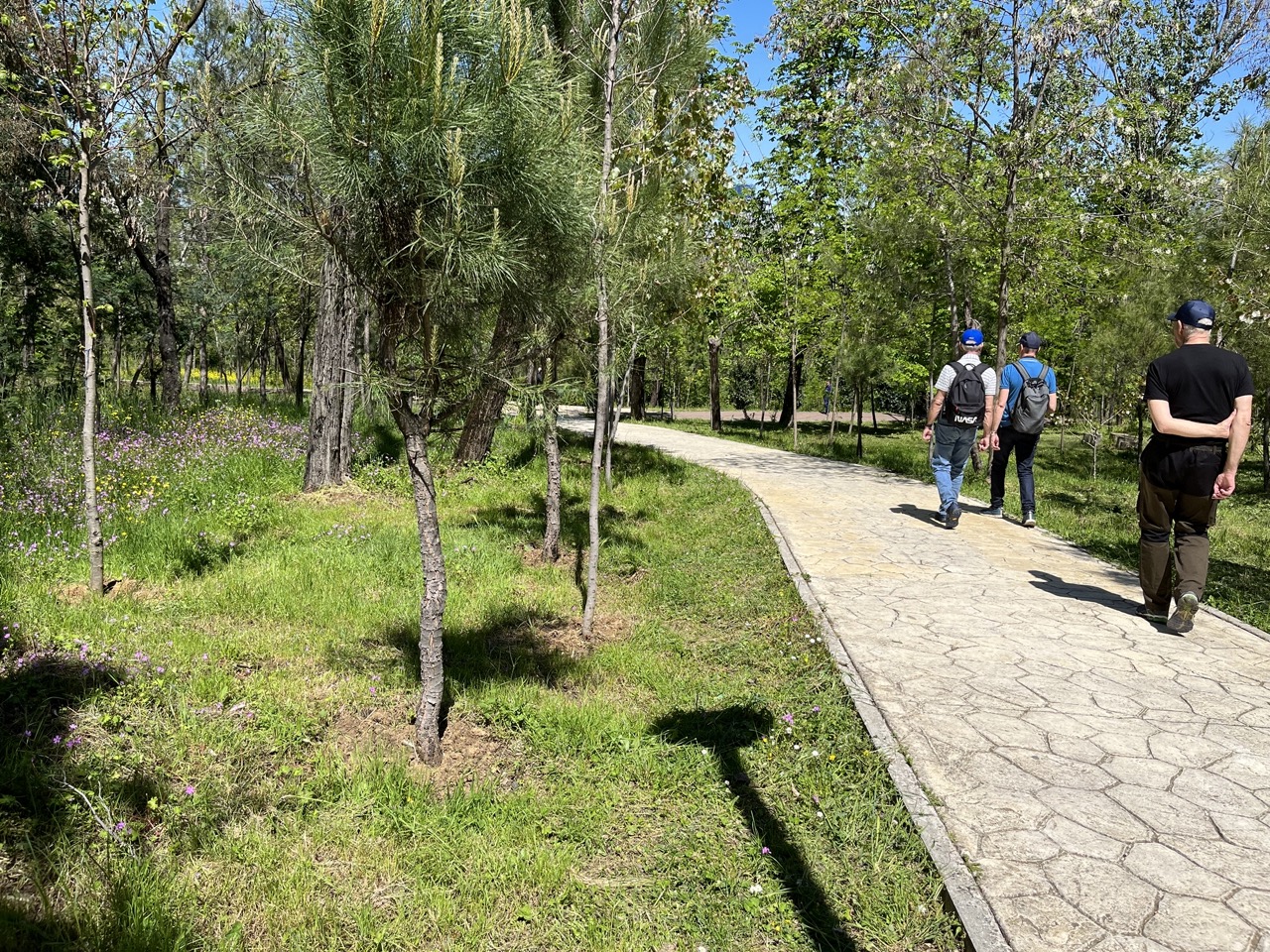 Tiranas stora park Albanien