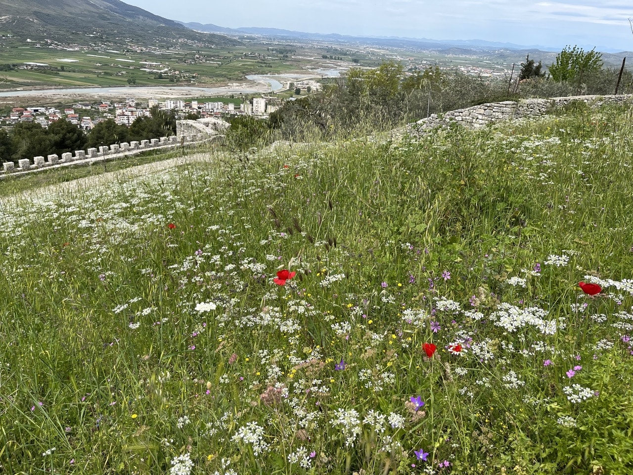 Berat Albanien Världsarv
