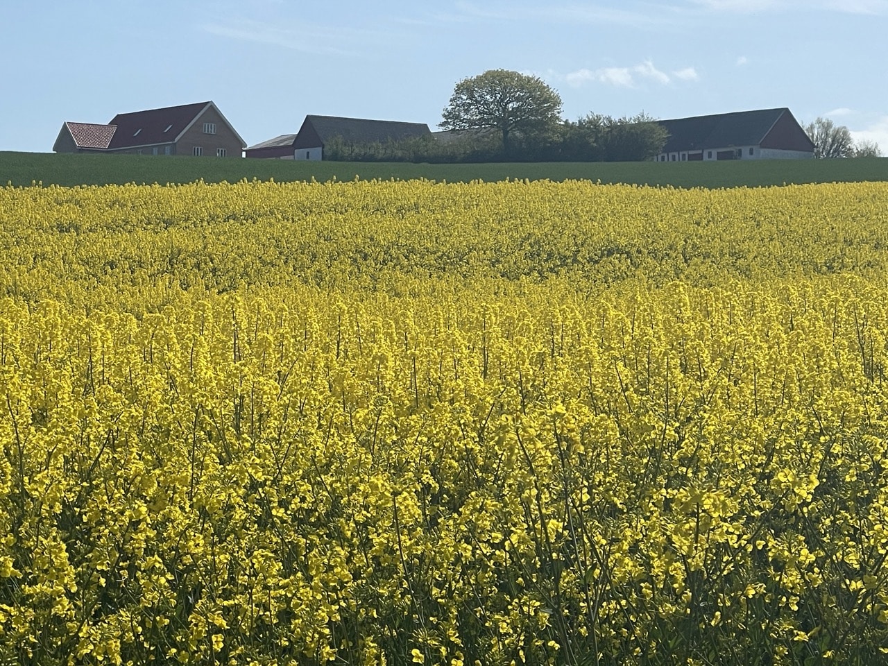 Cykla på Bornholm