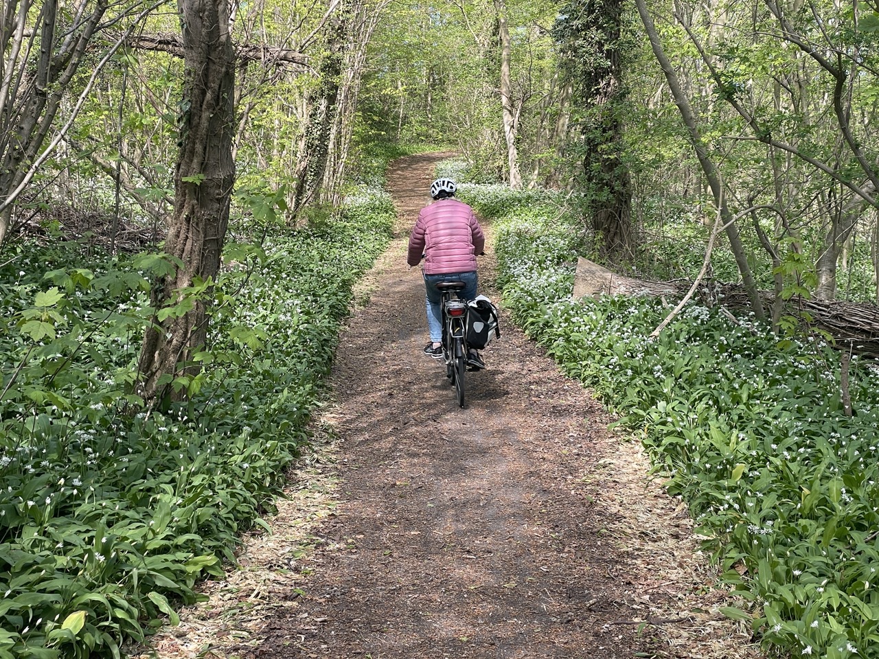 Cykla på Bornholm