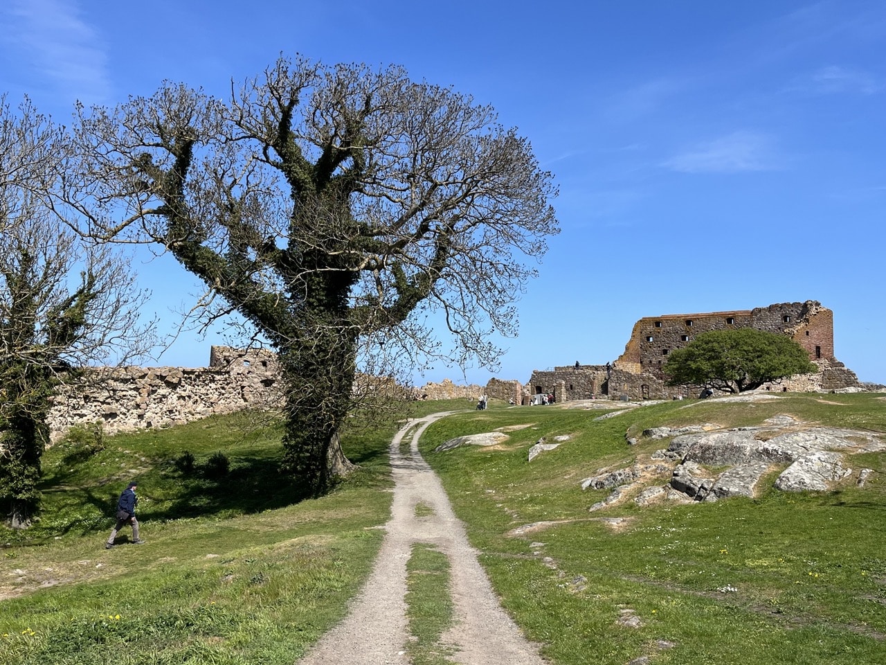 Hammershus Norra Bornholm