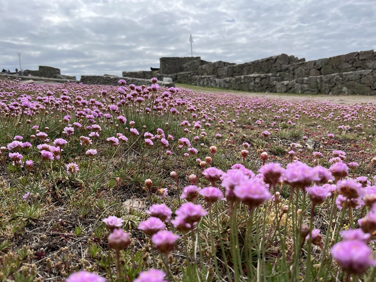 Christiansö Fredriksö