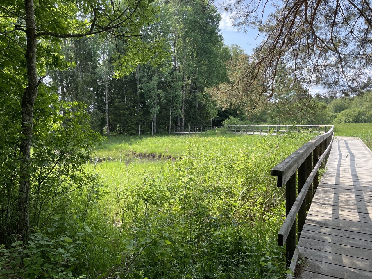 Färnebofjärdens nationalpark