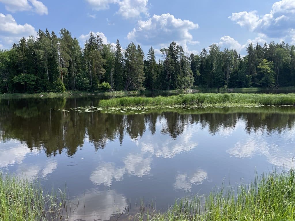 Färnebofjärdens nationalpark