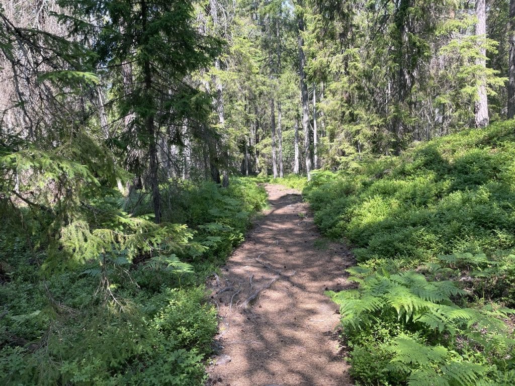 Tyresta Nationalpark