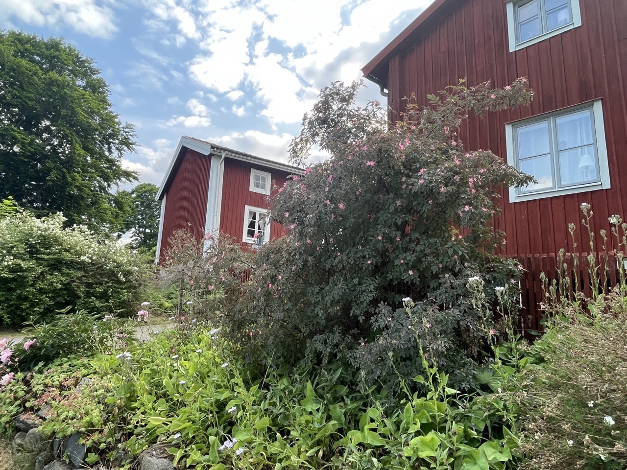 Trästadsklassiker