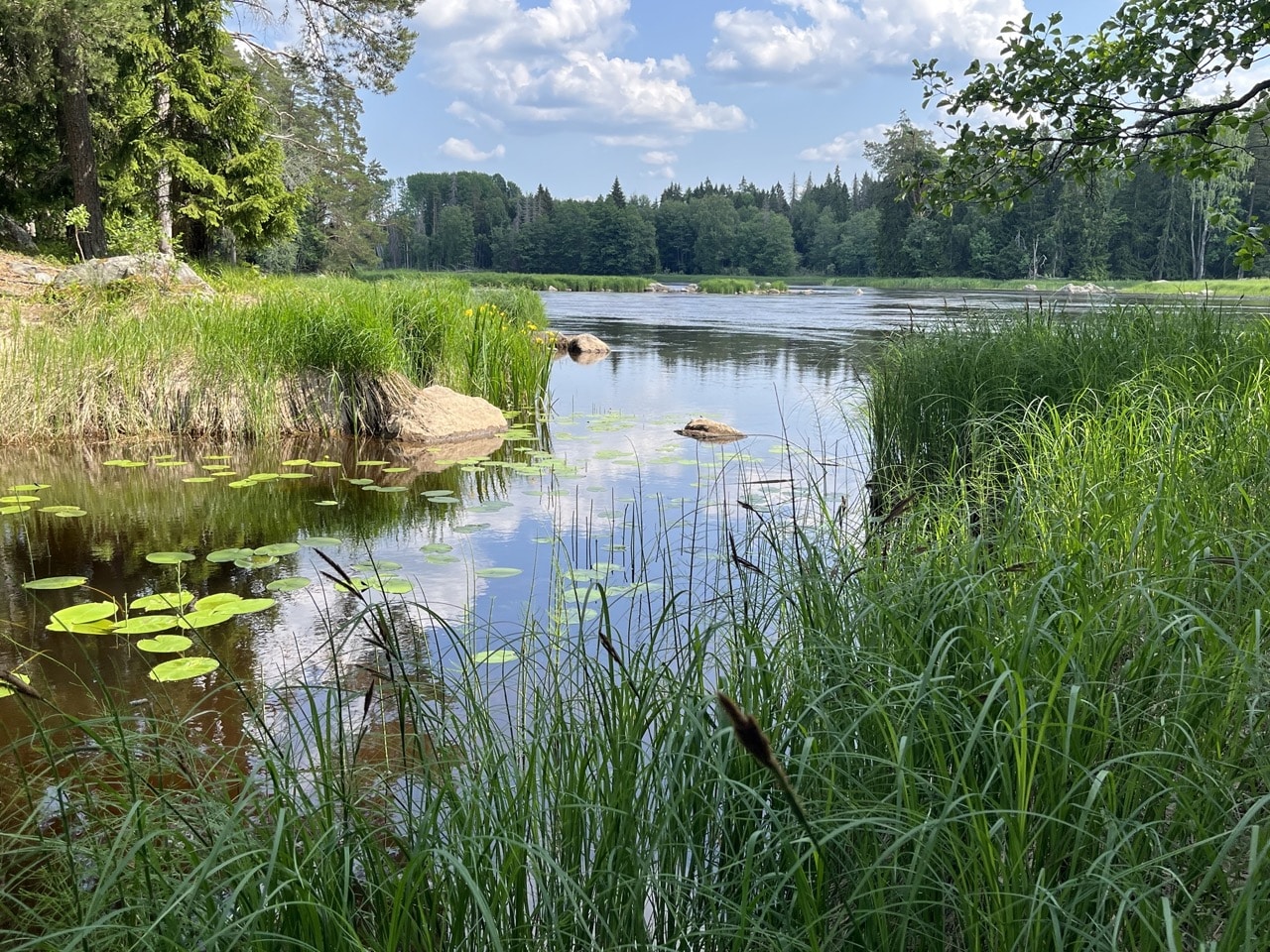 Färnebofjärdens nationalpark