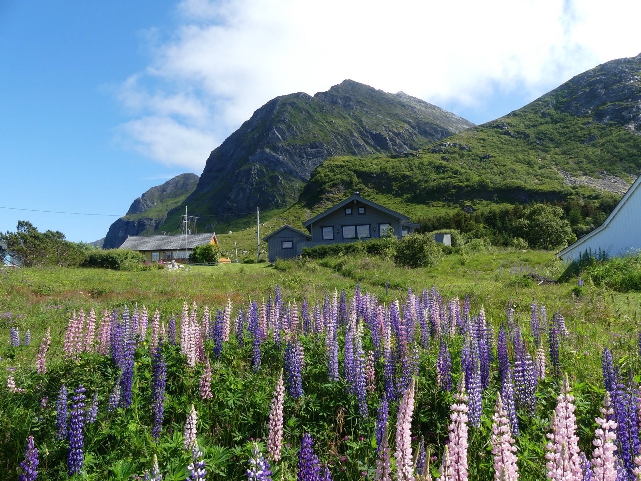 Lofoten i Norge