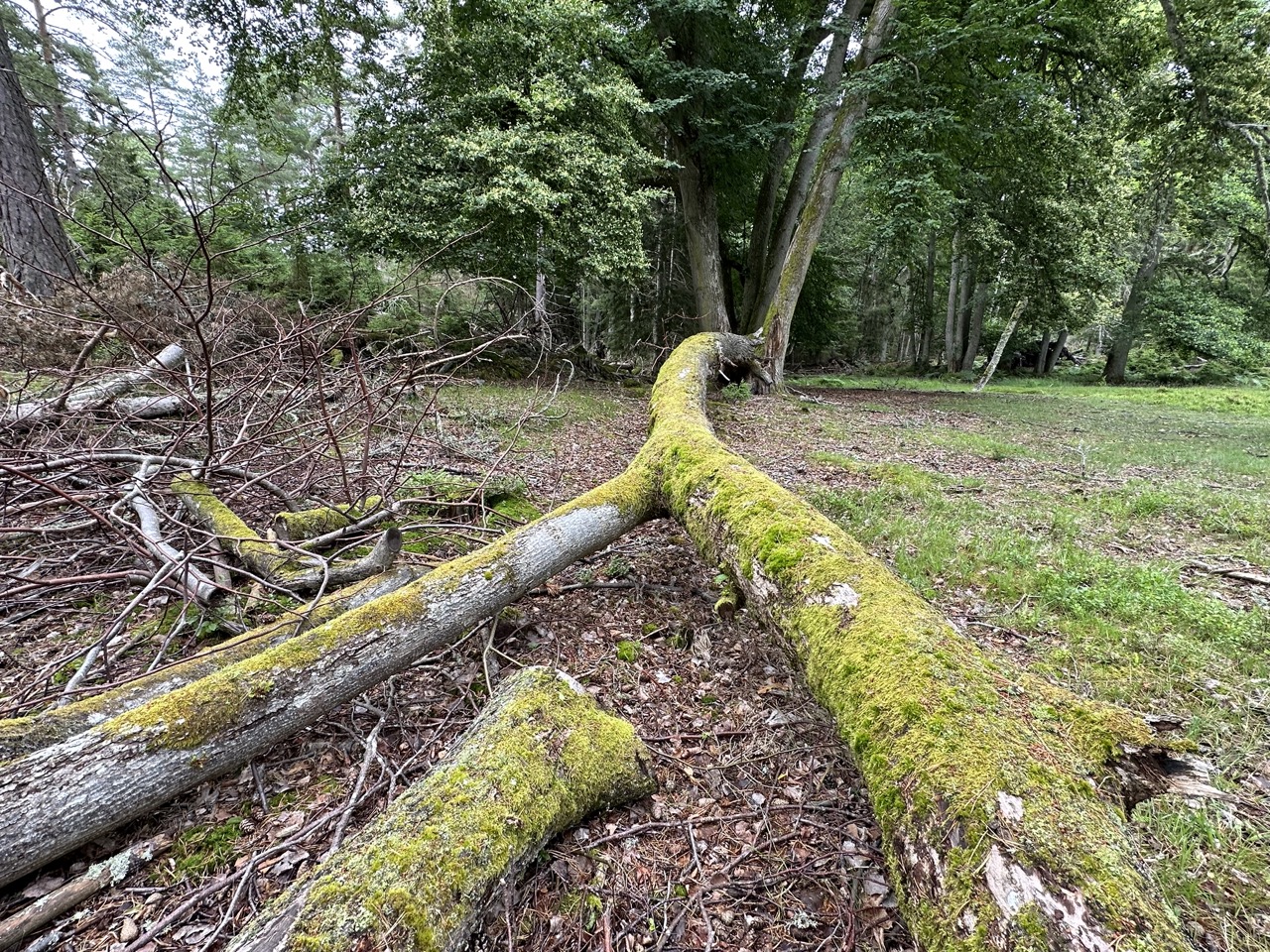 Djurö nationalpark