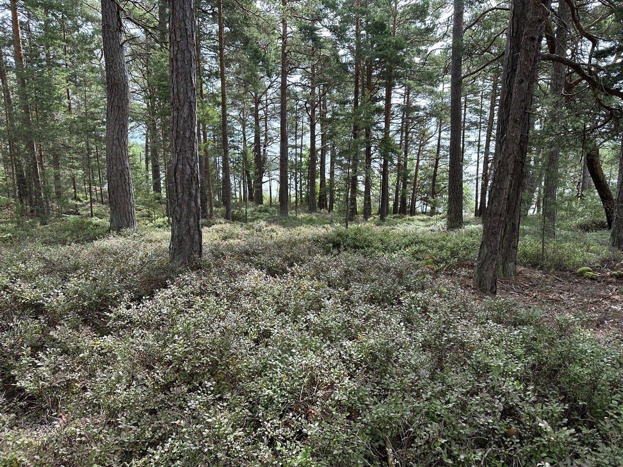 Djurö nationalpark