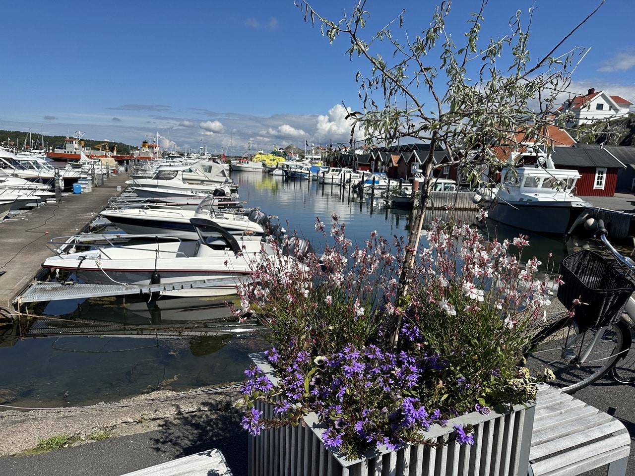 Donsö – en av höjdarna 2023.