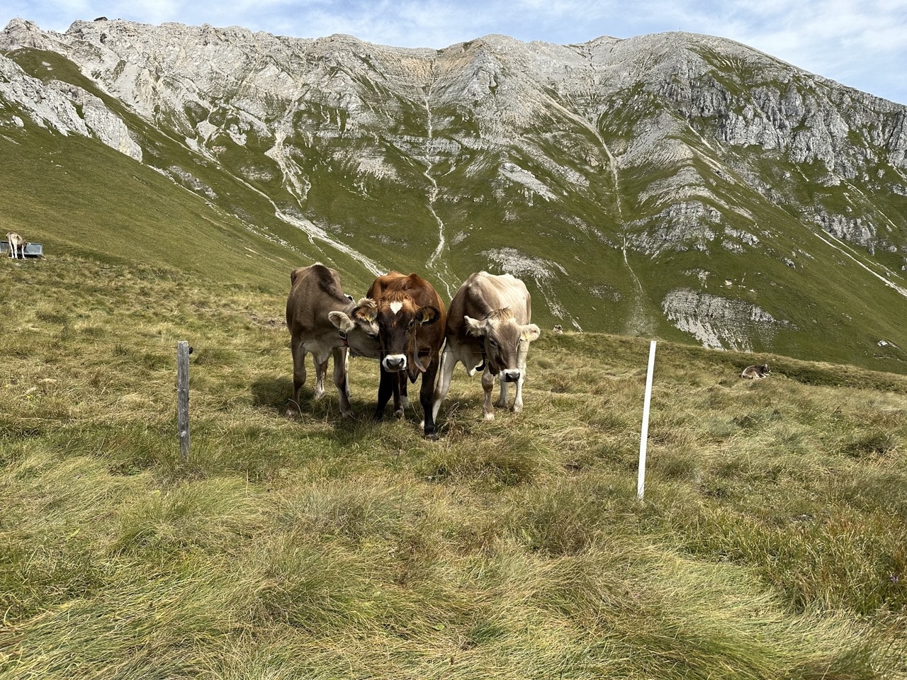 Vandring Dolomiterna Italien