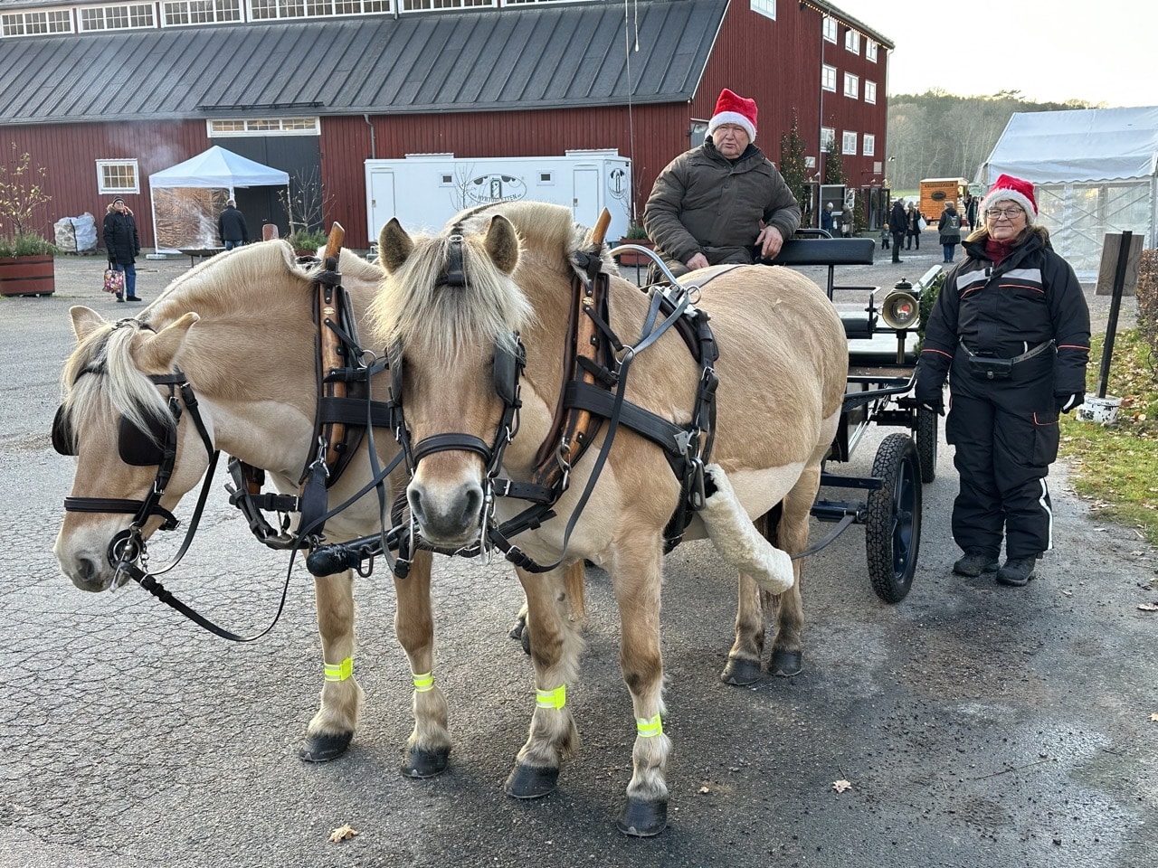 Jul Tjolöholm Halland Sverige
