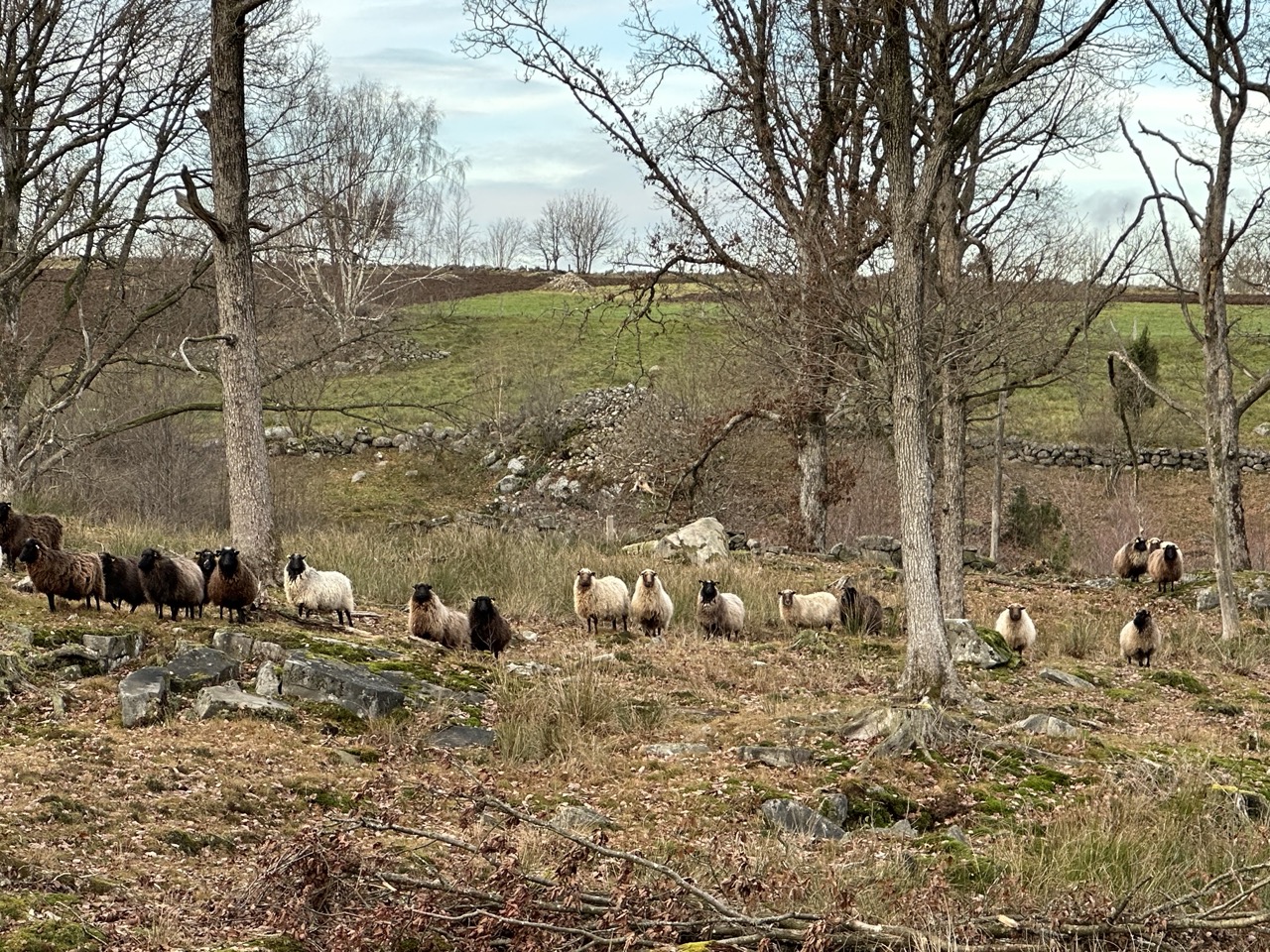 Äskhults by Halland Sverige