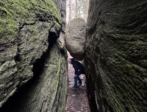 Bua Borrås skåra Halland Sverige