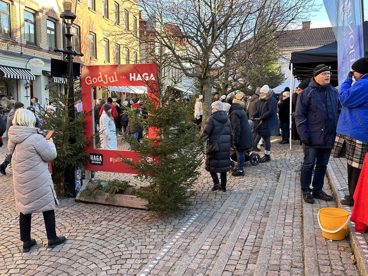 Jul på Liseberg och i Haga enturitaget.se mars 2024