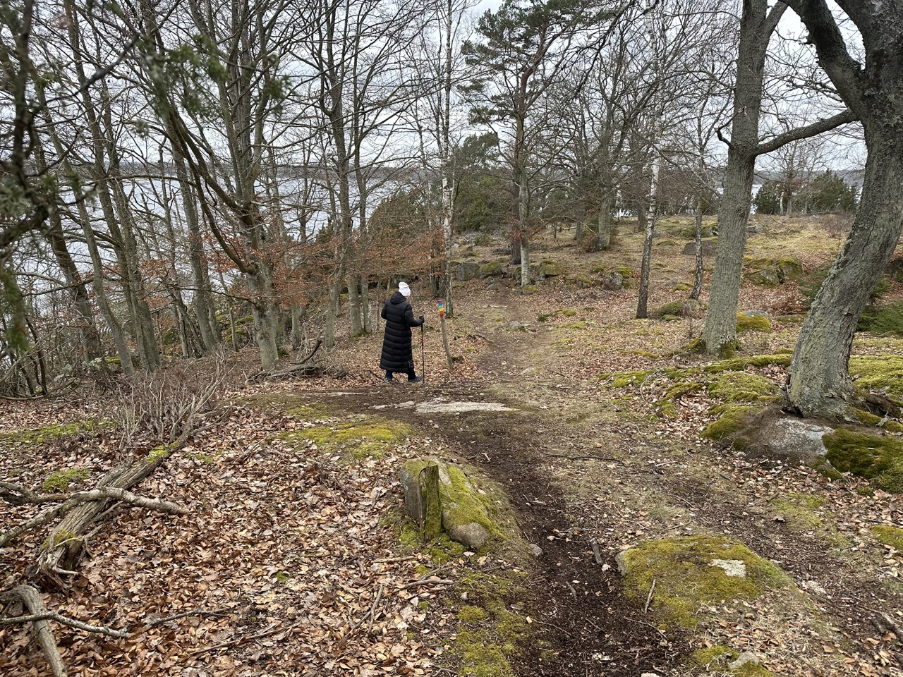 Järnaviken Blekinge Naturreservat