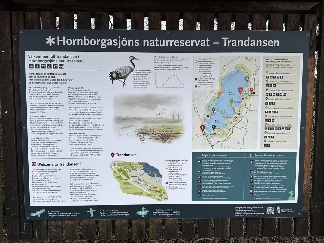 Tranor Hornborgasjön