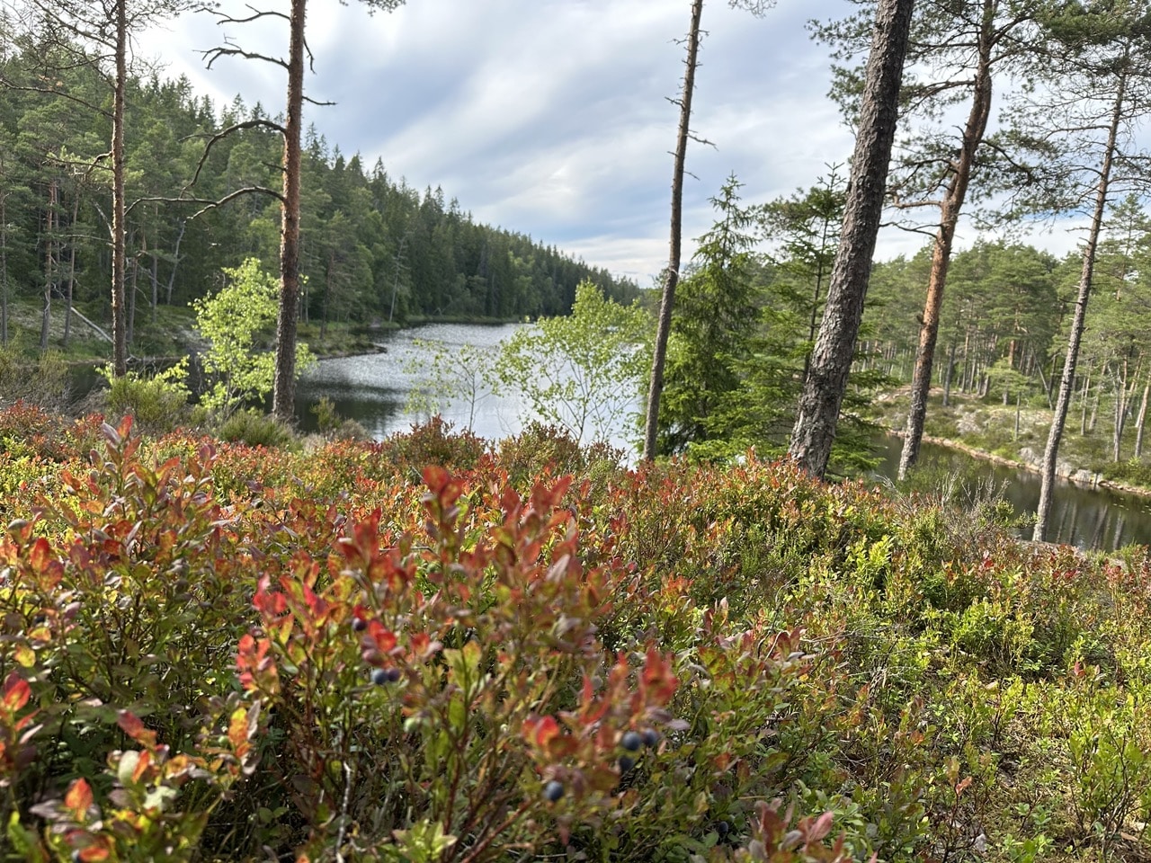 Tresticklan Dalsland Sverige