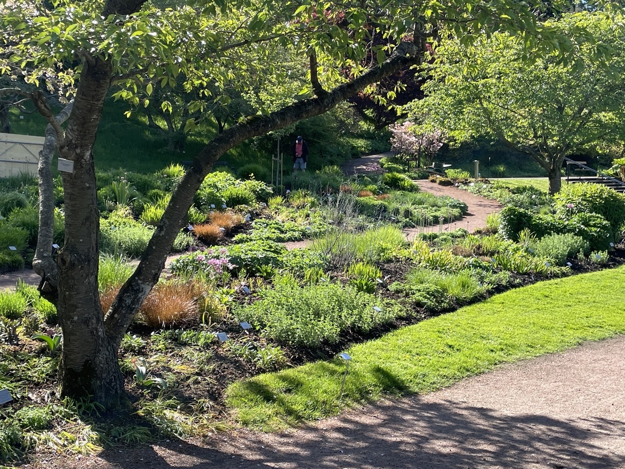 Botaniska Göteborg Sverige