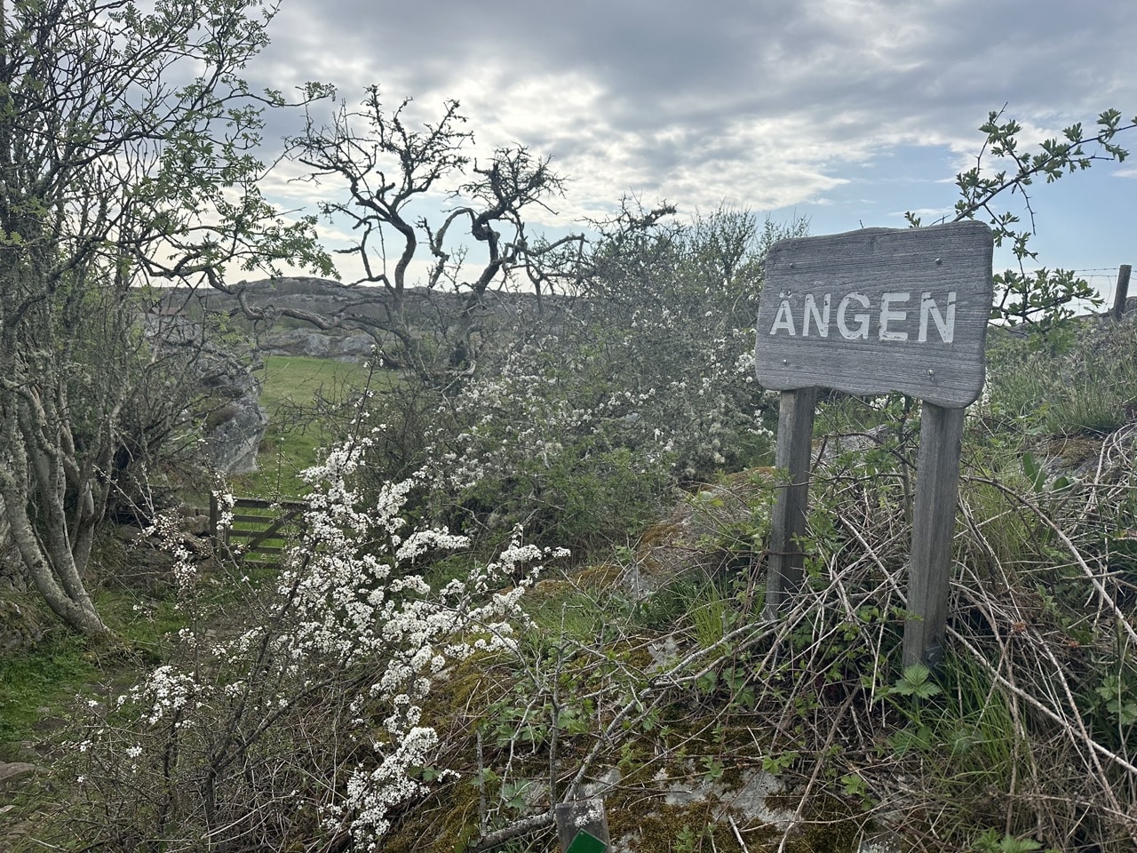 Kyrkesund Härön Bohuslän Sverige