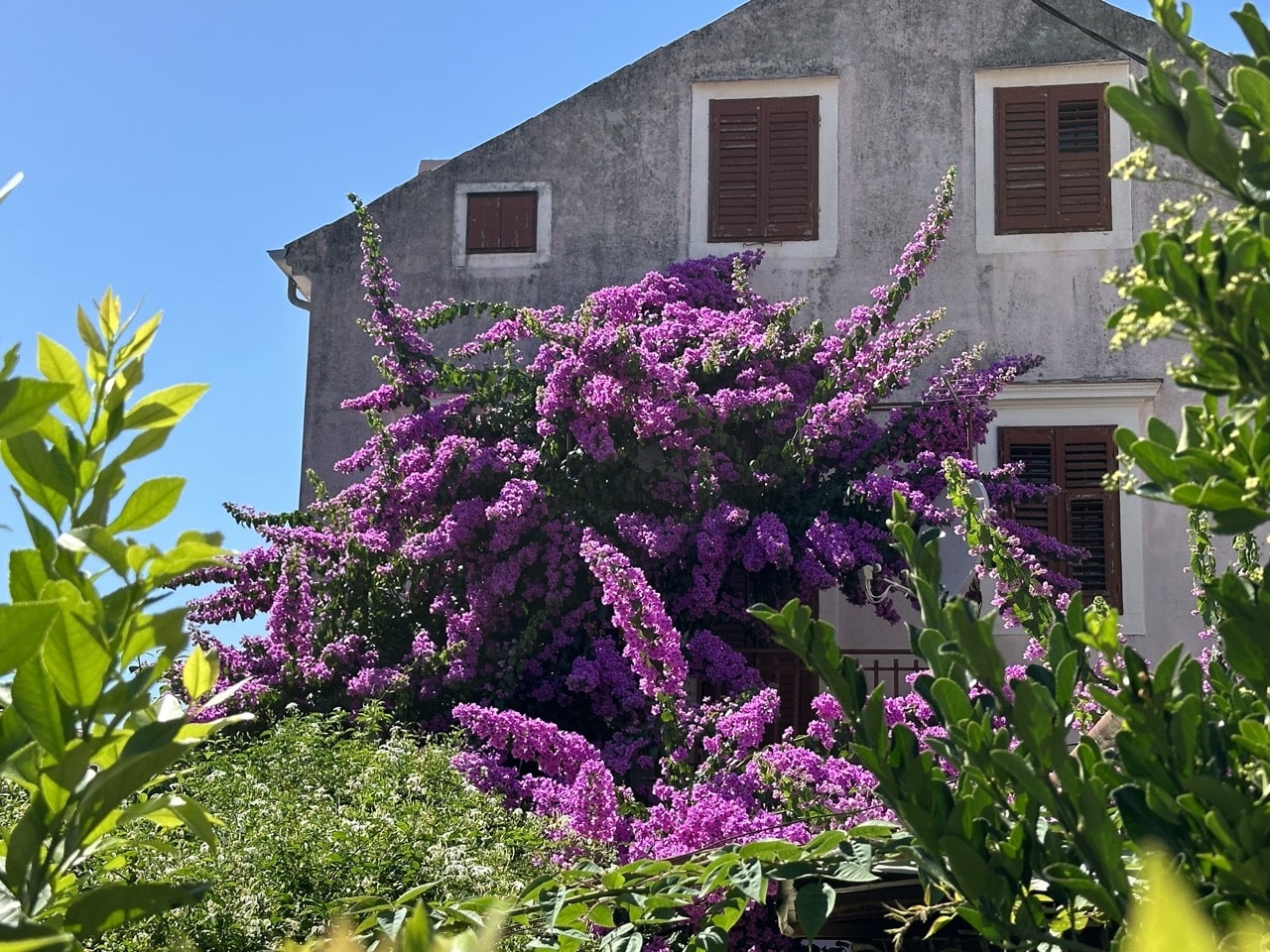 Mali Losinj Kroatien