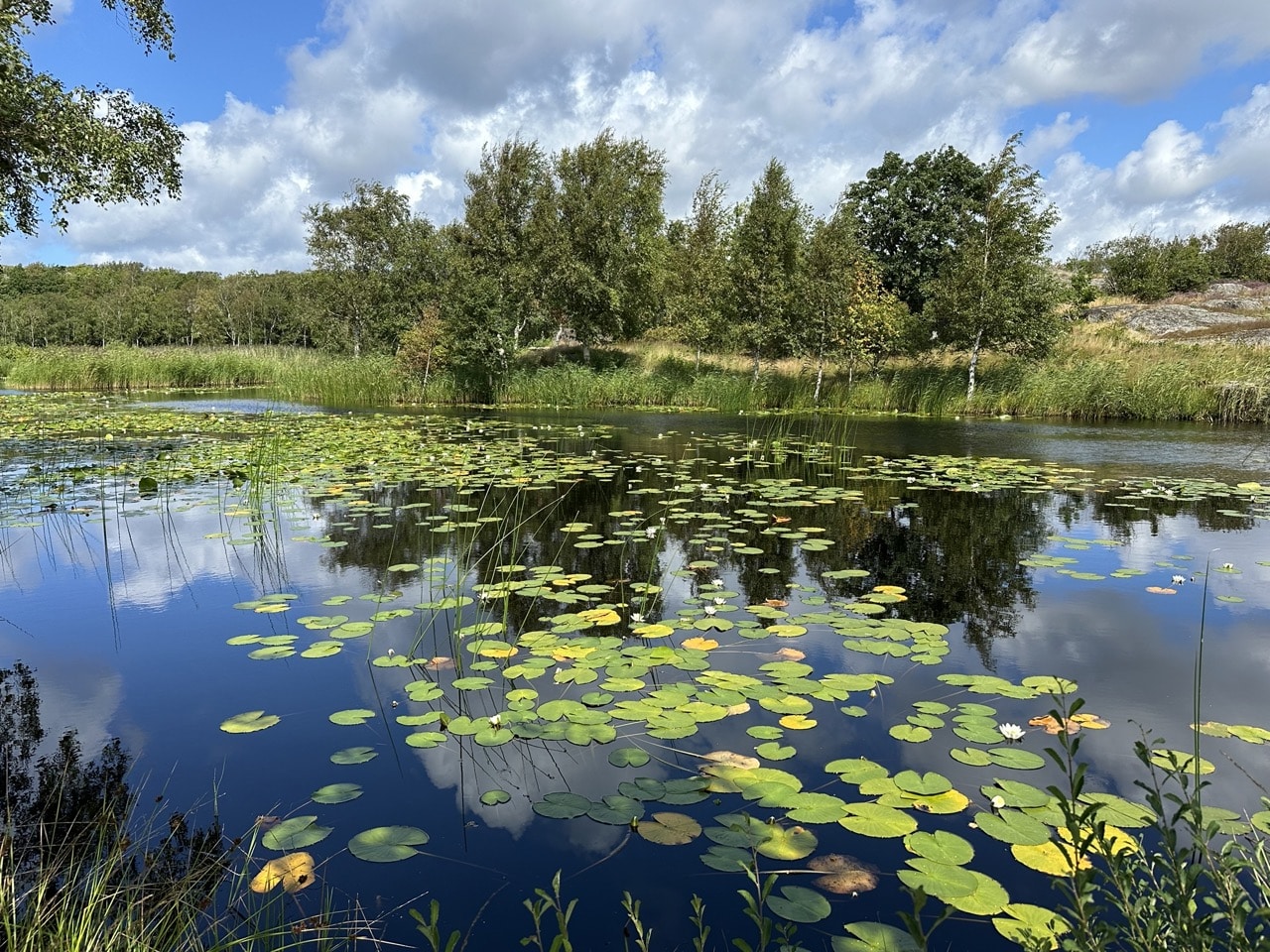 Asperö Göteborg Sverige