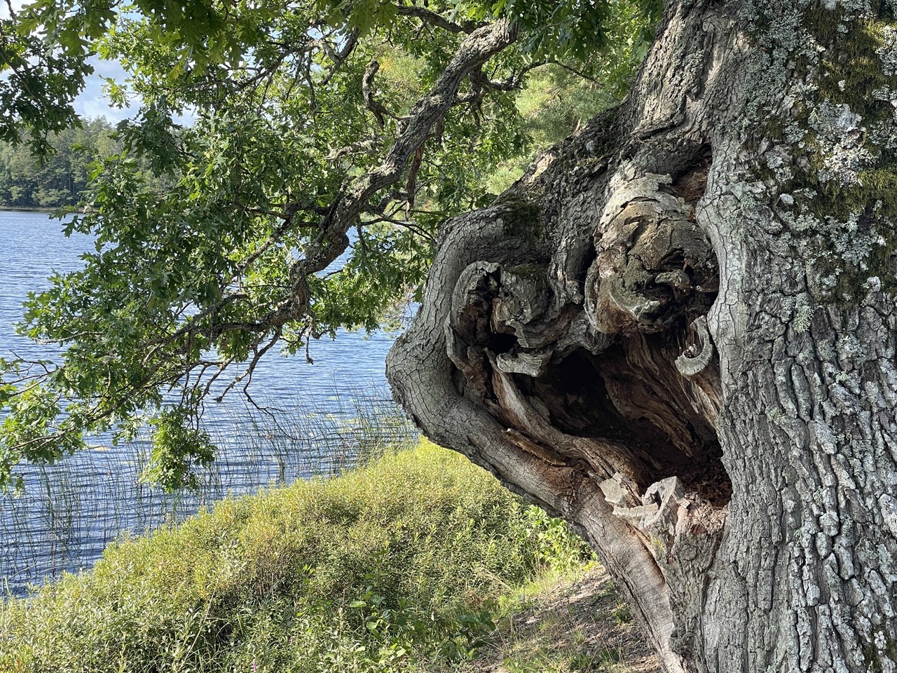 Stensjö by Småland Sverige