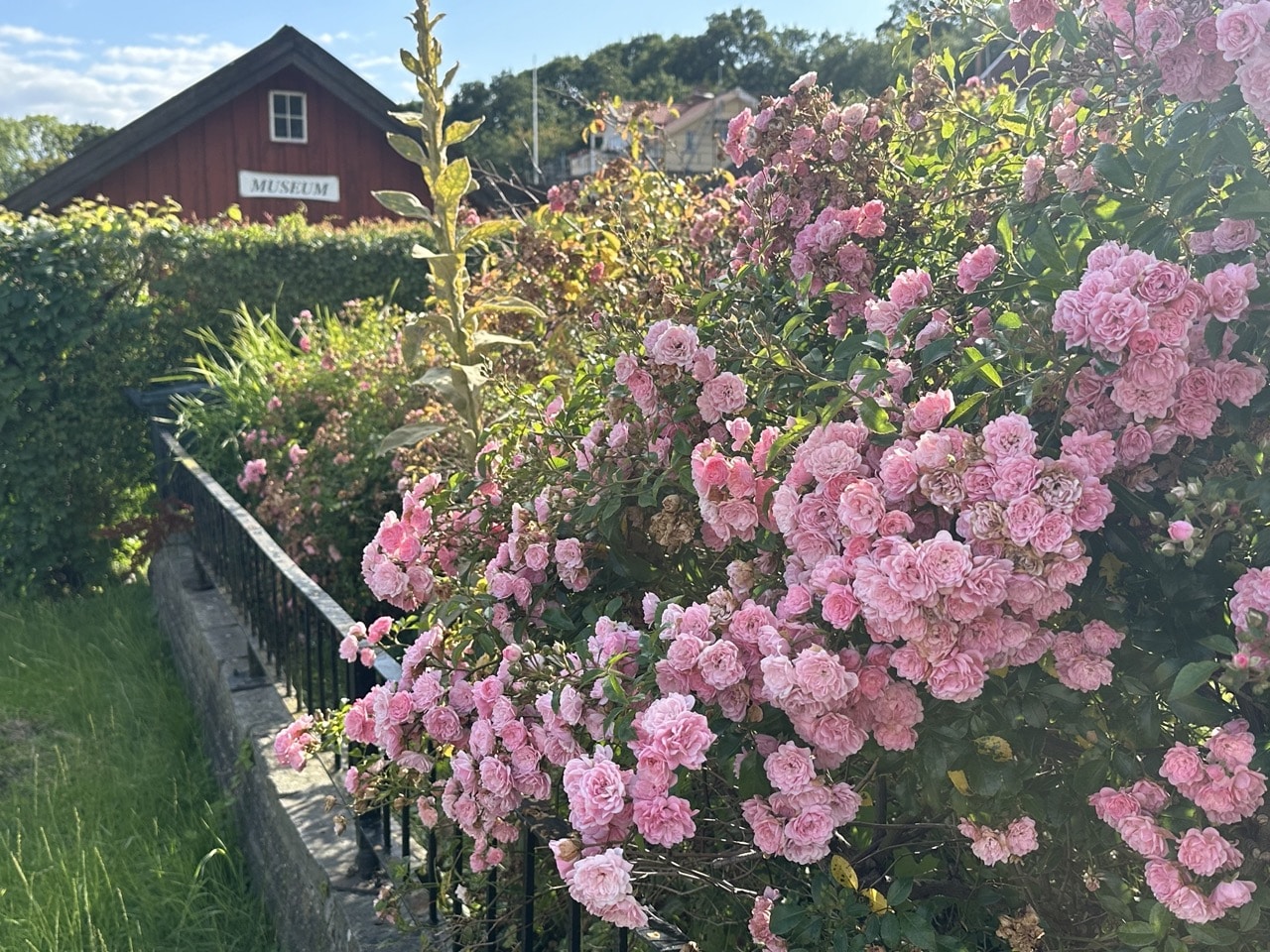 Brännö Södra skärgården Göteborg Sverige