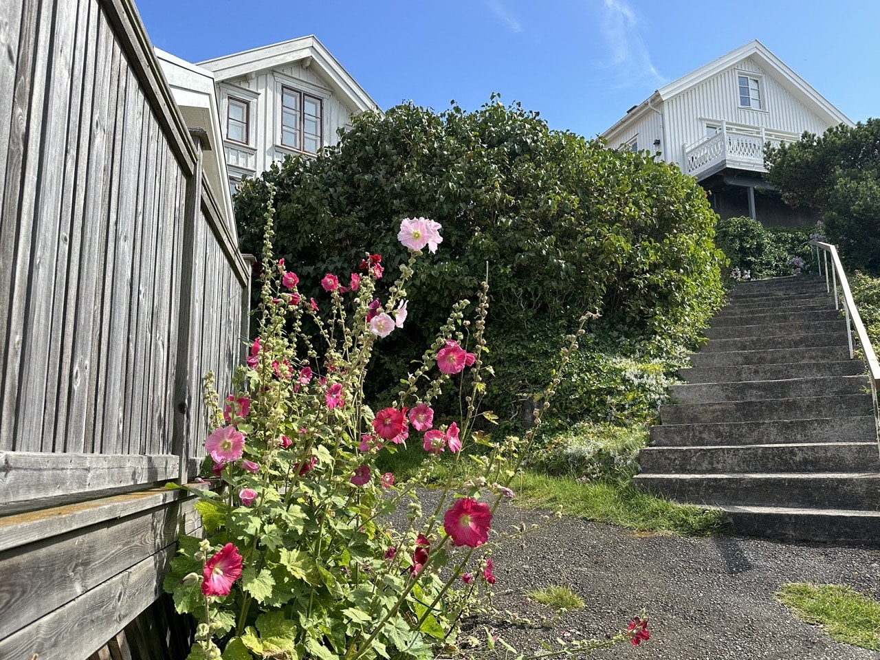 Fotö Norra skärgården Göteborg Sverige