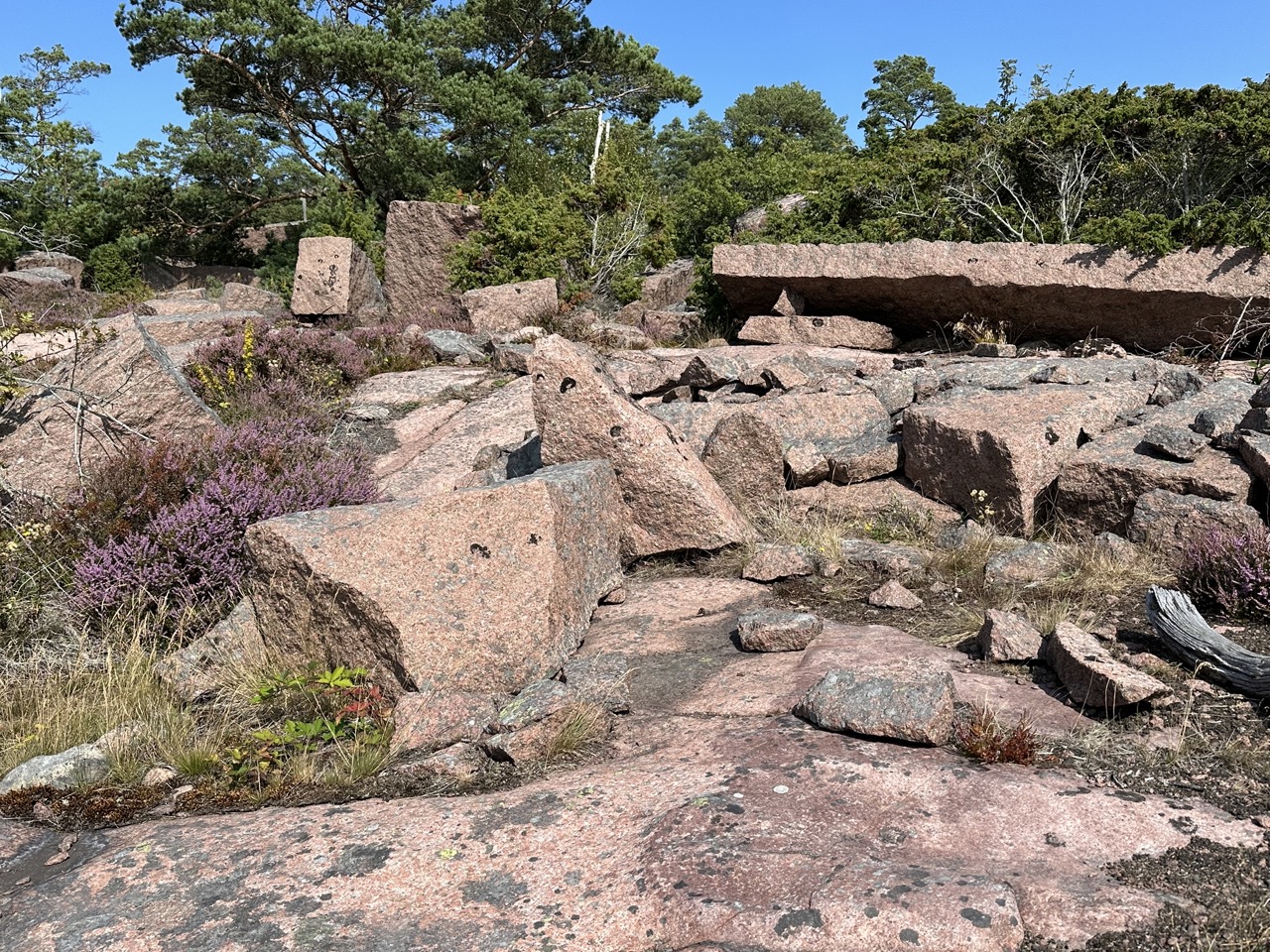 Blå Jungfrun Nationalpark Sverige